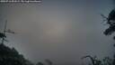 ./images/calvert/fitz-hugh-hecate/20250716/fitz-hugh-hecate20250716_051009M.jpg