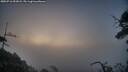 ./images/calvert/fitz-hugh-hecate/20250716/fitz-hugh-hecate20250716_052008M.jpg