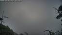 ./images/calvert/fitz-hugh-hecate/20250716/fitz-hugh-hecate20250716_052507M.jpg
