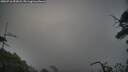 ./images/calvert/fitz-hugh-hecate/20250716/fitz-hugh-hecate20250716_053008M.jpg