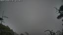 ./images/calvert/fitz-hugh-hecate/20250716/fitz-hugh-hecate20250716_053508M.jpg