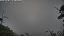 ./images/calvert/fitz-hugh-hecate/20250716/fitz-hugh-hecate20250716_054009M.jpg