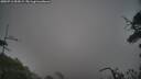 ./images/calvert/fitz-hugh-hecate/20250716/fitz-hugh-hecate20250716_054509M.jpg