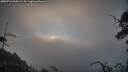 ./images/calvert/fitz-hugh-hecate/20250716/fitz-hugh-hecate20250716_062009M.jpg