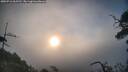 ./images/calvert/fitz-hugh-hecate/20250716/fitz-hugh-hecate20250716_062510M.jpg