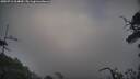 ./images/calvert/fitz-hugh-hecate/20250716/fitz-hugh-hecate20250716_064010M.jpg