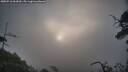 ./images/calvert/fitz-hugh-hecate/20250716/fitz-hugh-hecate20250716_064510M.jpg
