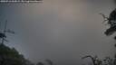 ./images/calvert/fitz-hugh-hecate/20250716/fitz-hugh-hecate20250716_065008M.jpg