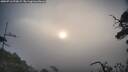 ./images/calvert/fitz-hugh-hecate/20250716/fitz-hugh-hecate20250716_070009M.jpg