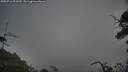 ./images/calvert/fitz-hugh-hecate/20250716/fitz-hugh-hecate20250716_071510M.jpg