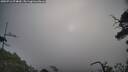 ./images/calvert/fitz-hugh-hecate/20250716/fitz-hugh-hecate20250716_074009M.jpg