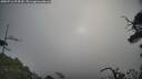 ./images/calvert/fitz-hugh-hecate/20250716/fitz-hugh-hecate20250716_074510M.jpg