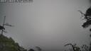 ./images/calvert/fitz-hugh-hecate/20250716/fitz-hugh-hecate20250716_080510M.jpg
