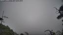 ./images/calvert/fitz-hugh-hecate/20250716/fitz-hugh-hecate20250716_081009M.jpg