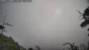 ./images/calvert/fitz-hugh-hecate/20250716/fitz-hugh-hecate20250716_084010M.jpg