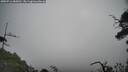 ./images/calvert/fitz-hugh-hecate/20250716/fitz-hugh-hecate20250716_085010M.jpg