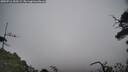 ./images/calvert/fitz-hugh-hecate/20250716/fitz-hugh-hecate20250716_100509M.jpg