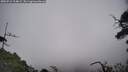 ./images/calvert/fitz-hugh-hecate/20250716/fitz-hugh-hecate20250716_114008M.jpg