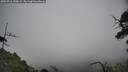 ./images/calvert/fitz-hugh-hecate/20250716/fitz-hugh-hecate20250716_120008M.jpg