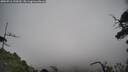 ./images/calvert/fitz-hugh-hecate/20250716/fitz-hugh-hecate20250716_120510M.jpg