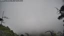 ./images/calvert/fitz-hugh-hecate/20250716/fitz-hugh-hecate20250716_121510M.jpg