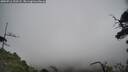 ./images/calvert/fitz-hugh-hecate/20250716/fitz-hugh-hecate20250716_123505M.jpg