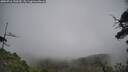 ./images/calvert/fitz-hugh-hecate/20250716/fitz-hugh-hecate20250716_130510M.jpg