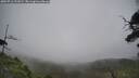 ./images/calvert/fitz-hugh-hecate/20250716/fitz-hugh-hecate20250716_131009M.jpg