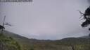 ./images/calvert/fitz-hugh-hecate/20250716/fitz-hugh-hecate20250716_131509M.jpg