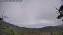 ./images/calvert/fitz-hugh-hecate/20250716/fitz-hugh-hecate20250716_132508M.jpg