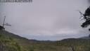 ./images/calvert/fitz-hugh-hecate/20250716/fitz-hugh-hecate20250716_133010M.jpg