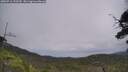 ./images/calvert/fitz-hugh-hecate/20250716/fitz-hugh-hecate20250716_133509M.jpg