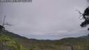 ./images/calvert/fitz-hugh-hecate/20250716/fitz-hugh-hecate20250716_134009M.jpg