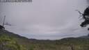 ./images/calvert/fitz-hugh-hecate/20250716/fitz-hugh-hecate20250716_134510M.jpg