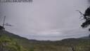 ./images/calvert/fitz-hugh-hecate/20250716/fitz-hugh-hecate20250716_135009M.jpg