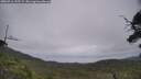 ./images/calvert/fitz-hugh-hecate/20250716/fitz-hugh-hecate20250716_135509M.jpg