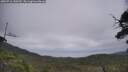 ./images/calvert/fitz-hugh-hecate/20250716/fitz-hugh-hecate20250716_140509M.jpg