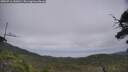 ./images/calvert/fitz-hugh-hecate/20250716/fitz-hugh-hecate20250716_141009M.jpg