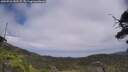 ./images/calvert/fitz-hugh-hecate/20250716/fitz-hugh-hecate20250716_142507M.jpg