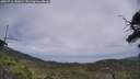 ./images/calvert/fitz-hugh-hecate/20250716/fitz-hugh-hecate20250716_143010M.jpg