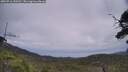 ./images/calvert/fitz-hugh-hecate/20250716/fitz-hugh-hecate20250716_143510M.jpg