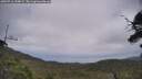 ./images/calvert/fitz-hugh-hecate/20250716/fitz-hugh-hecate20250716_144008M.jpg