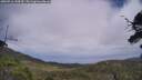 ./images/calvert/fitz-hugh-hecate/20250716/fitz-hugh-hecate20250716_144510M.jpg
