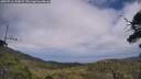 ./images/calvert/fitz-hugh-hecate/20250716/fitz-hugh-hecate20250716_145007M.jpg