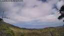 ./images/calvert/fitz-hugh-hecate/20250716/fitz-hugh-hecate20250716_145510M.jpg