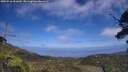 ./images/calvert/fitz-hugh-hecate/20250716/fitz-hugh-hecate20250716_151010M.jpg
