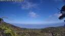 ./images/calvert/fitz-hugh-hecate/20250716/fitz-hugh-hecate20250716_151511M.jpg