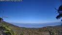 ./images/calvert/fitz-hugh-hecate/20250716/fitz-hugh-hecate20250716_153508M.jpg