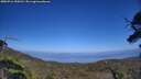 ./images/calvert/fitz-hugh-hecate/20250716/fitz-hugh-hecate20250716_154510M.jpg