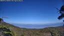 ./images/calvert/fitz-hugh-hecate/20250716/fitz-hugh-hecate20250716_155010M.jpg